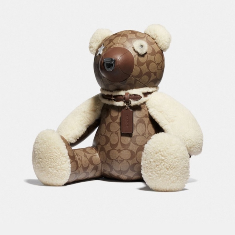 Bear In Signature Canvas